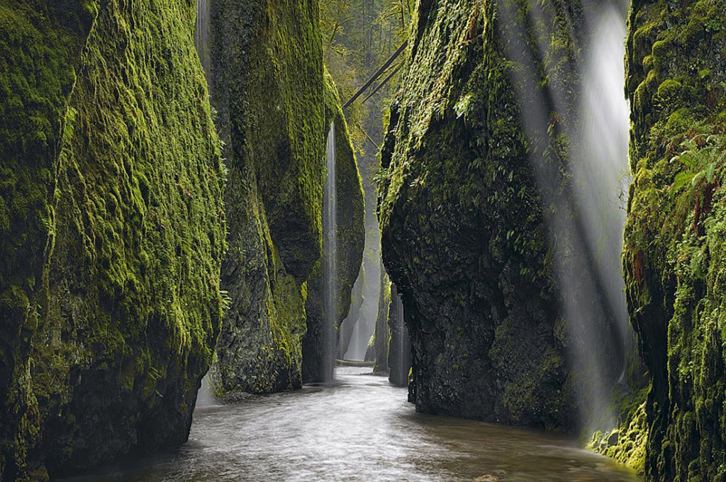 Лучшие работы мастеров фоторепортажа
