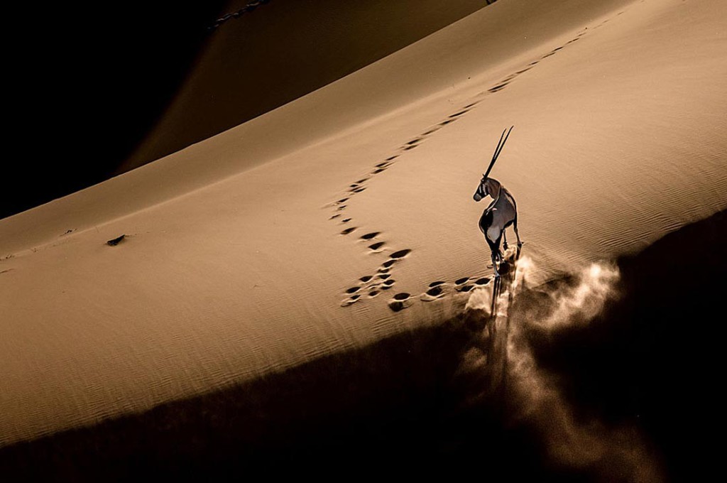 Лучшие работы мастеров фоторепортажа