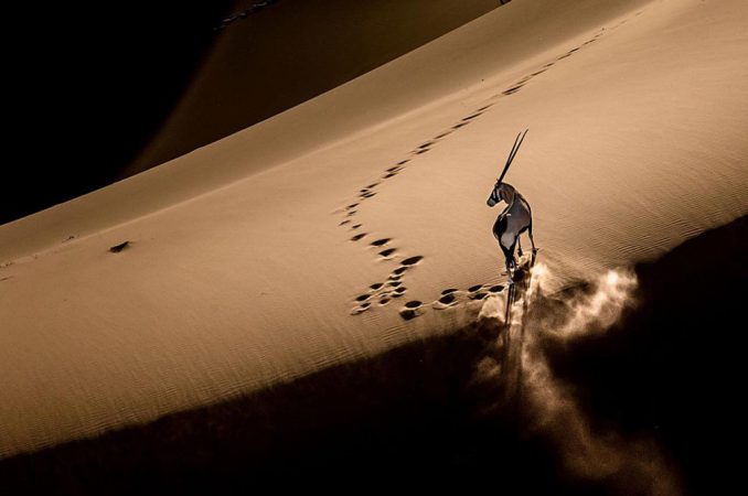 Лучшие работы мастеров фоторепортажа