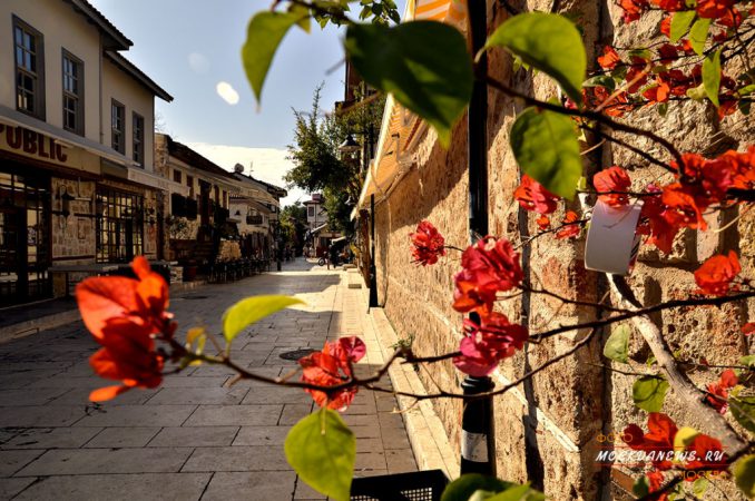 Турция, Анталья, цветущий ноябрь