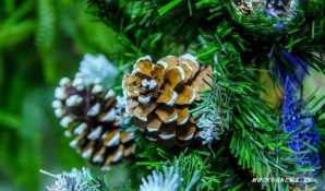 Через 150 лет зимы не будет