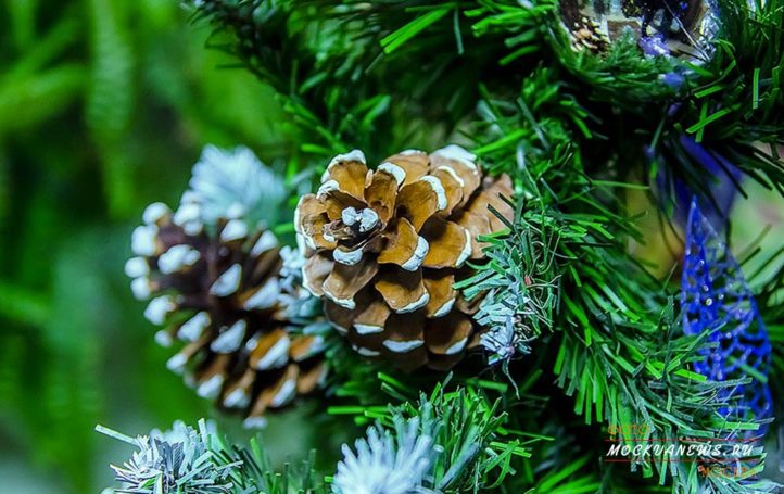 Через 150 лет зимы не будет