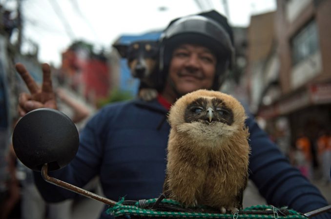 Лучшие фотографии осени