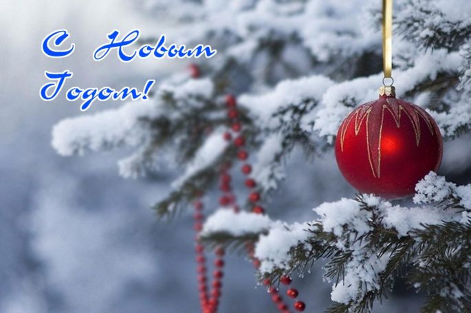 Хор Дедов Морозов заберется на елку в торговом центе