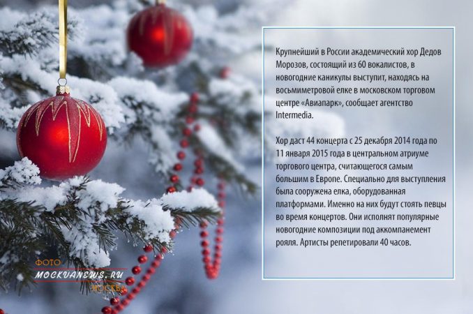 Хор Дедов Морозов заберется на елку в торговом центе