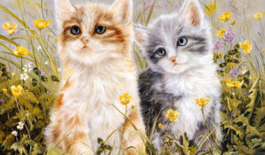 Барбарелла вышла замуж за двух котов