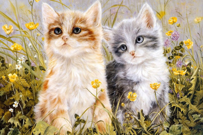 Барбарелла вышла замуж за двух котов