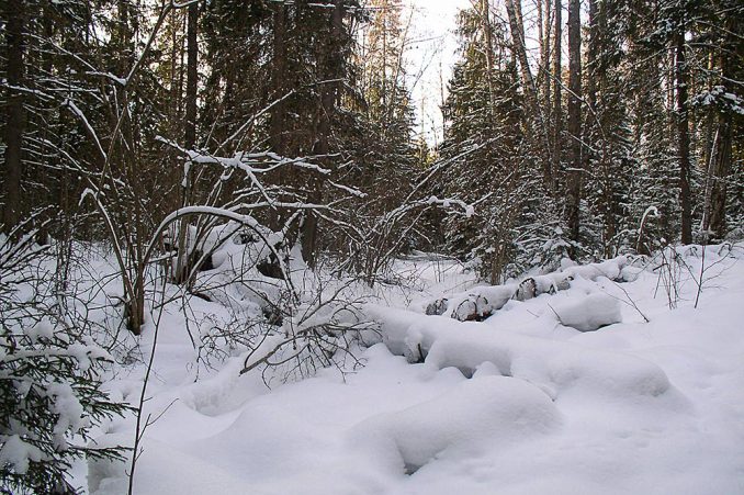 Подмосковье. Истра