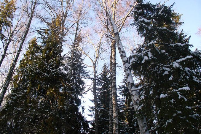 Подмосковье. Истра