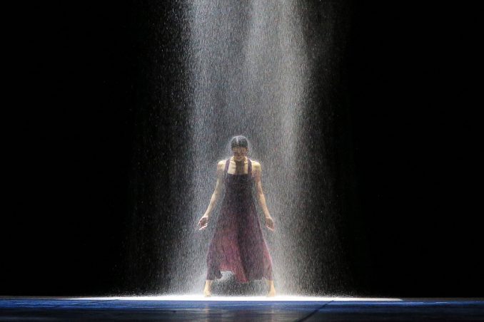 Лучшие фото корреспондентов ТАСС за 2014 год