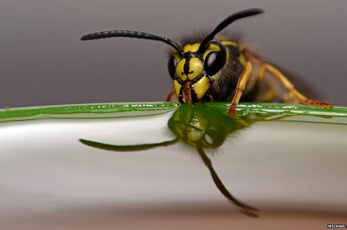 Лучшие фотографии читателей сайта Би-би-си 2014 года