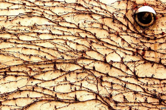 Лучшие фотографии читателей сайта Би-би-си 2014 года