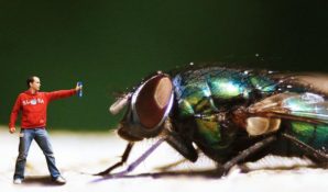 11  лучших фотографий читателей сайта Би-би-си 2014 года