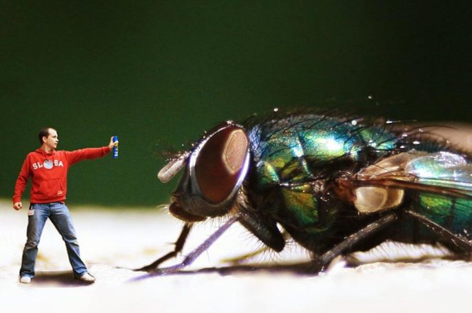 11  лучших фотографий читателей сайта Би-би-си 2014 года