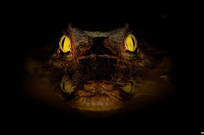 Лучшие фотографии читателей сайта Би-би-си 2014 года