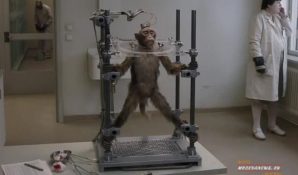 Международный фестиваль современного независимого кино «2morrow». Программа