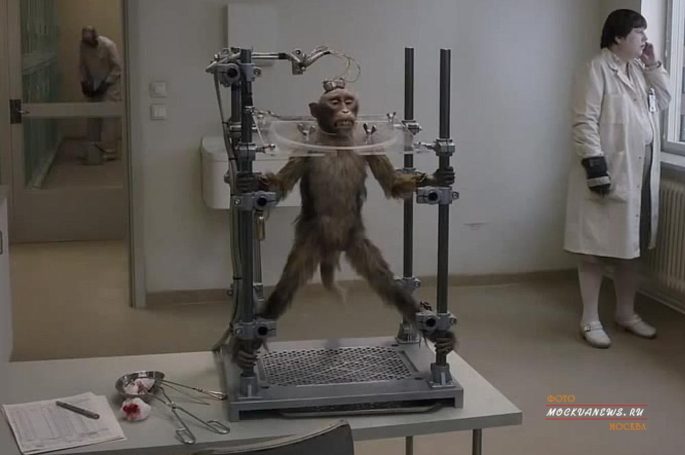 Международный фестиваль современного независимого кино «2morrow». Программа