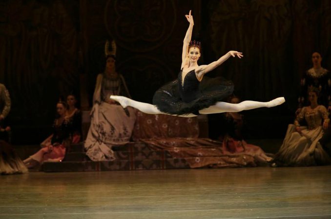 Лебединое озеро, swan lake