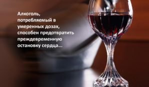 Умеренное употребление вина снижает риск остановки сердца на 20 процентов