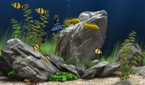 Уникальный проект «Виртуальный Аквариум»  в Центральном Детском магазине на Лубянке