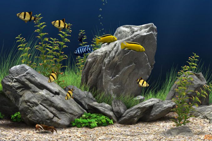 Виртуальный Аквариум