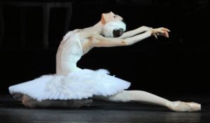 «Светлана Захарова — Стоп кадр». 60 работ фотографа Владимира Фридкеса