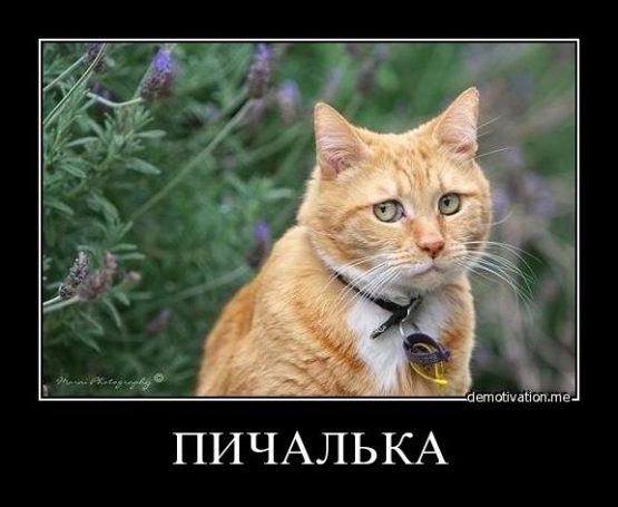 PepsiCo вкладывает в «Печальку»