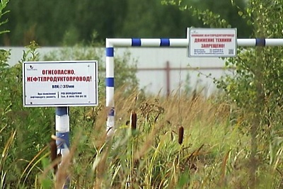 Администрация Щелковского района ведет незаконное строительство в зоне МНПП