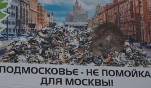 «Альянс Зеленых» продолжает привлекать внимание к экологическим проблемам Подмосковья