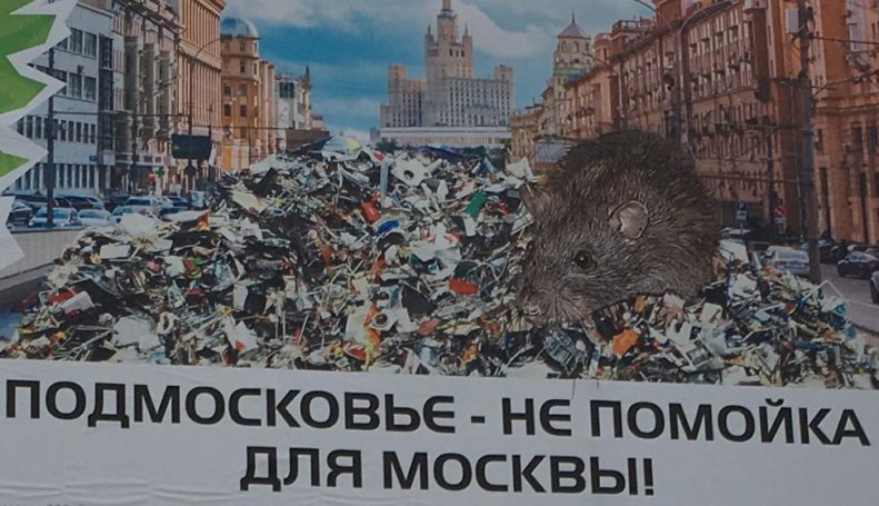 «Альянс Зеленых» продолжает привлекать внимание к экологическим проблемам Подмосковья