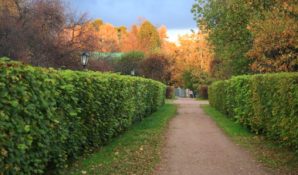 Столичный ДПИИОС анонсировал конкурс по созданию концепции айдентики ПИП «Кусково»