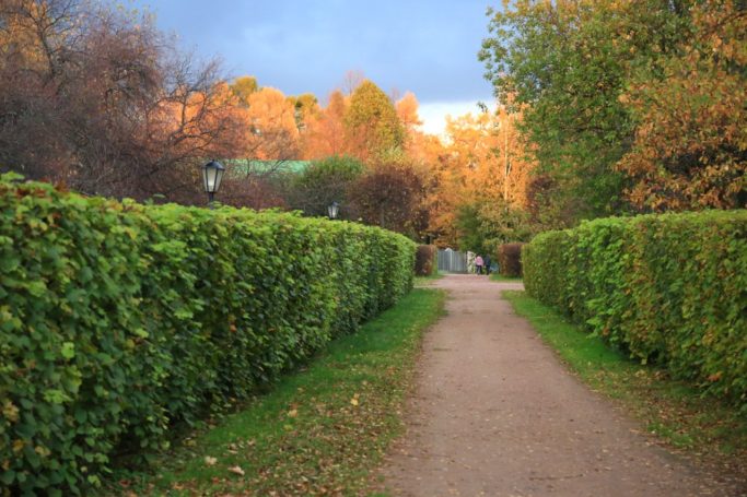 Столичный ДПИИОС анонсировал конкурс по созданию концепции айдентики ПИП «Кусково»