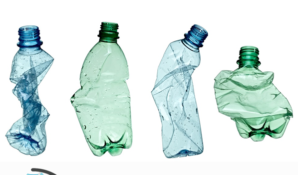 В Москве решили передавать подрастающему поколению знания о важности охраны экологии с раннего детства