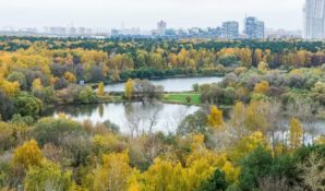 Гражданская инициатива с бобром на рукаве