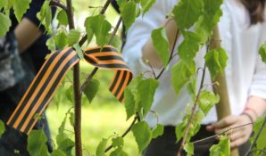 Андрей Дунаев рассказал, что ему понравилась атмосфера акции «Лес Победы»