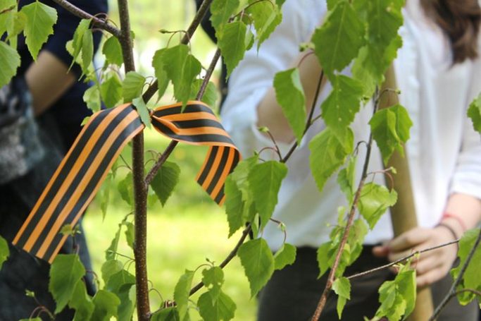 Андрей Дунаев рассказал, что ему понравилась атмосфера акции «Лес Победы»