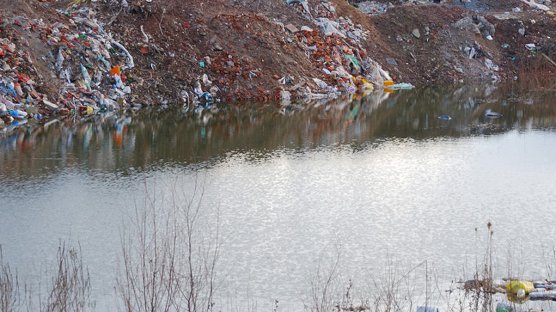 Жители «Павлово-2» направили открытое письмо генпрокурору России Юрию Чайке