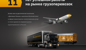 «Деловые Линии»: грузы политических активистов в пути, но частично были изъяты полицией