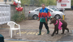 Авторы петиции на Change.org требуют наказать бизнесмена Пинкевича за жестокое обращение с животными