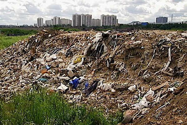 Андрей Дунаев сообщил адрес почты жителям Истры для информирования о незаконных свалках