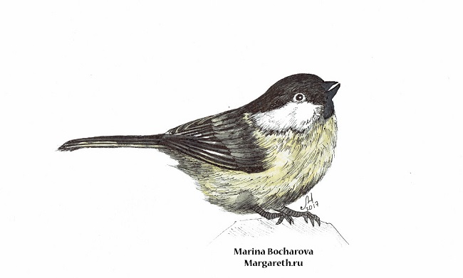 Выставка графики и живописи Марины Бочаровой