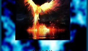 Телевидение как оно есть: книга «Взлет без посадки» доступна читателям