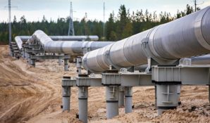 В Подмосковье воровали топливо из трубопровода на территории заброшенного лагеря