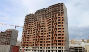 Обманутые дольщики ЖК «Царицыно» пытаются решить проблему на международном уровне