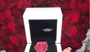 Ксения Царицына не раскрыла цену подарка