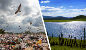 Мособласть выбрала верную модель управления в области охраны окружающей среды