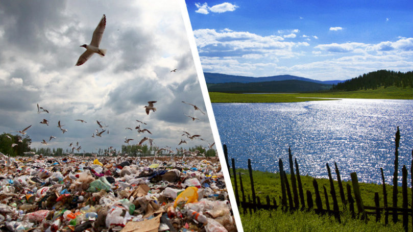 Мособласть выбрала верную модель управления в области охраны окружающей среды