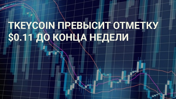 Внимание инвесторов способствует росту криптовалюты TKEYCOIN