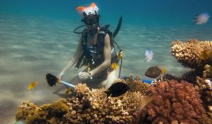 Что станет с картиной подводного художника Ольги Белкиной?