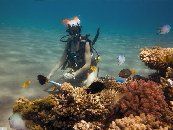 Что станет с картиной подводного художника Ольги Белкиной?